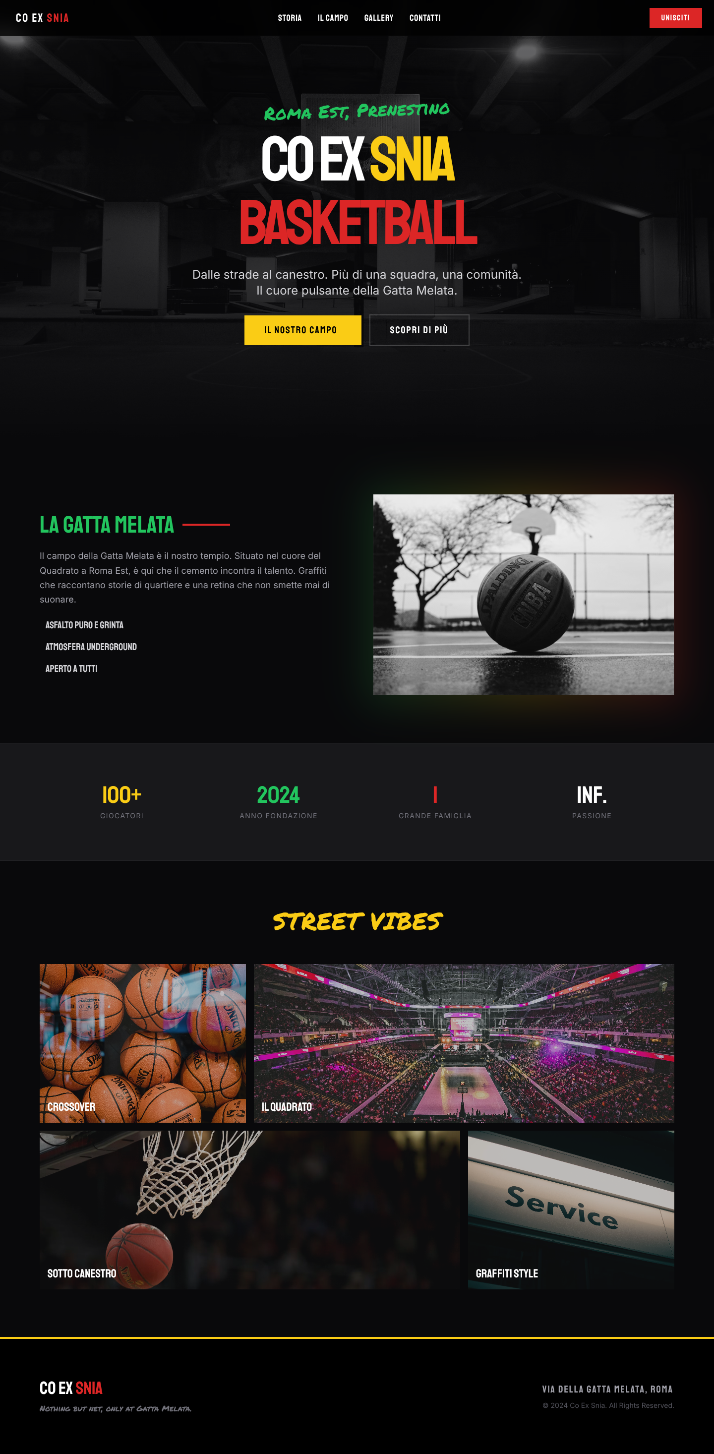 Co Ex Snia Basketball - Il Cuore di Roma